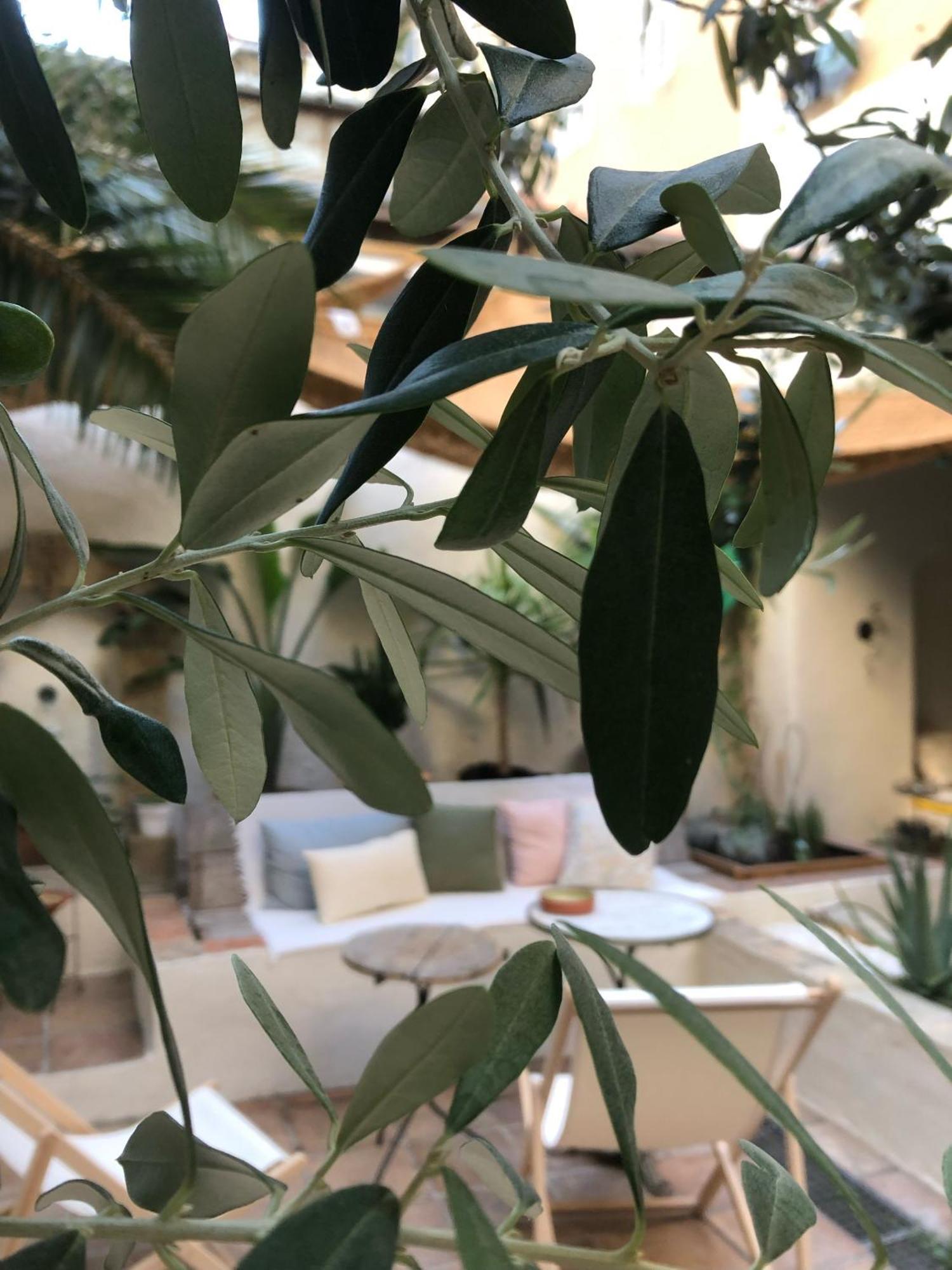 Maison Olea Marseille Bagian luar foto