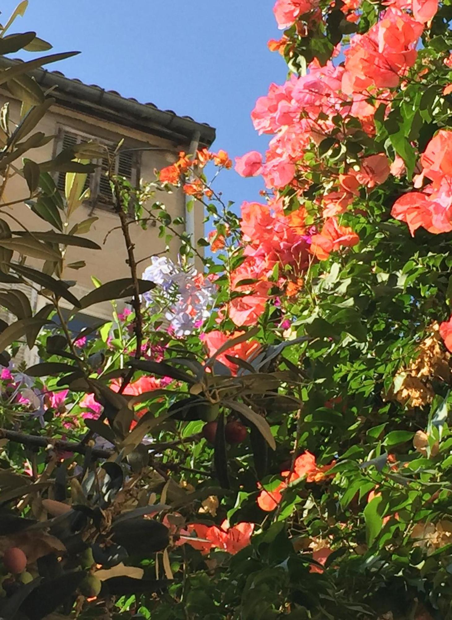 Maison Olea Marseille Bagian luar foto